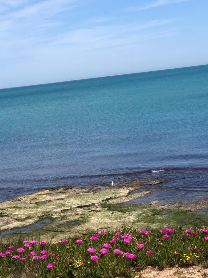 La Mata, Torrevieja Lägenhet Exteriör bild